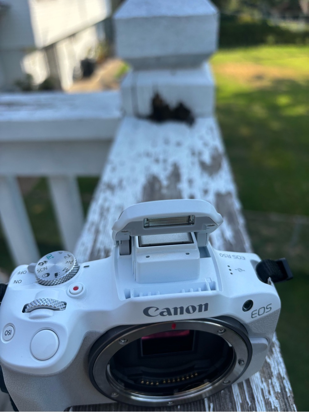 Canon EOS R50 White Camera Body Only - Picture 4 of 8